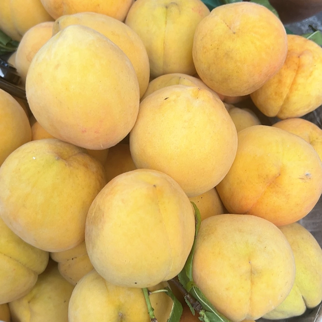 中国大陆黄桃5斤装包邮