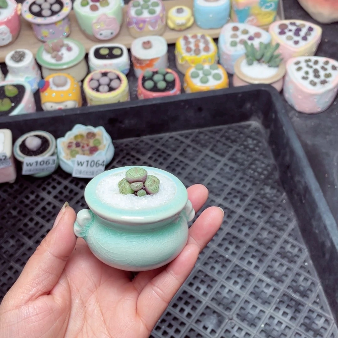 w1065 -零下地区拍保温箱-15支持寄养