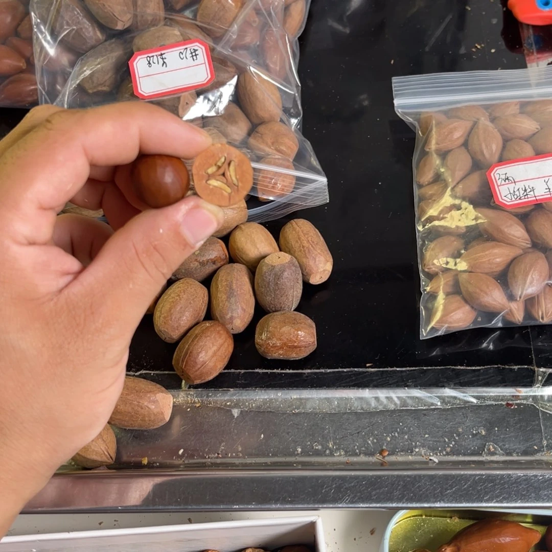 吊坠龙脊菩提真***采