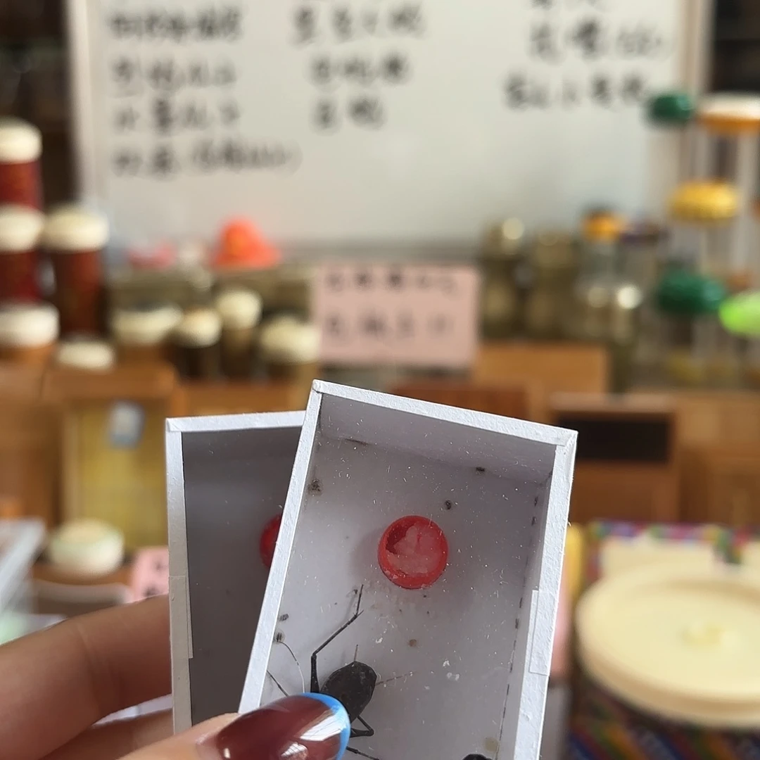 两条断须尾人工马蛉