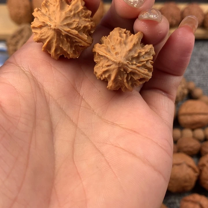 龙脊。