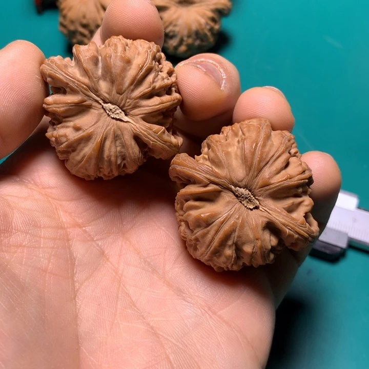 把件文玩核桃新****?白狮子