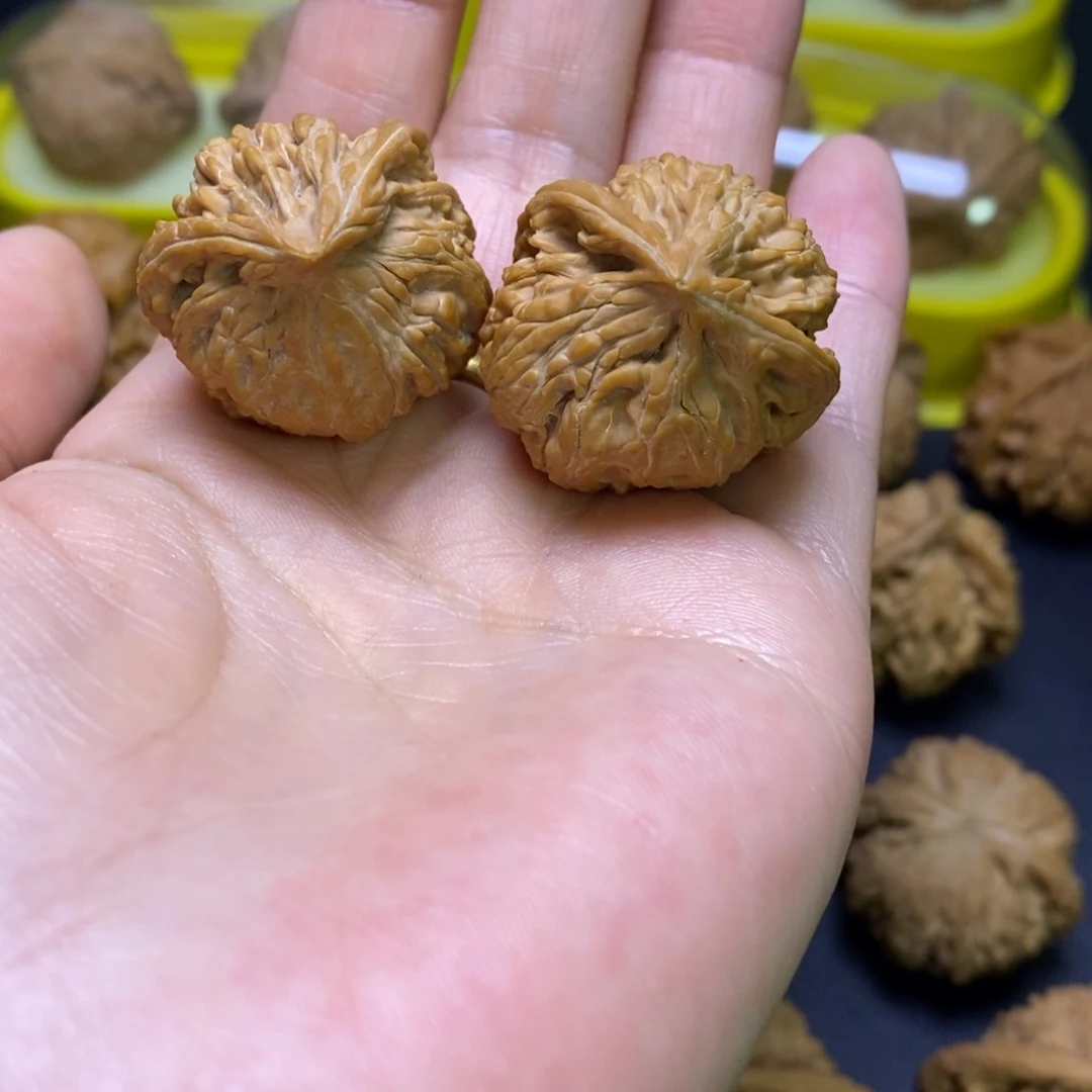 文玩核桃吊坠野生蛇