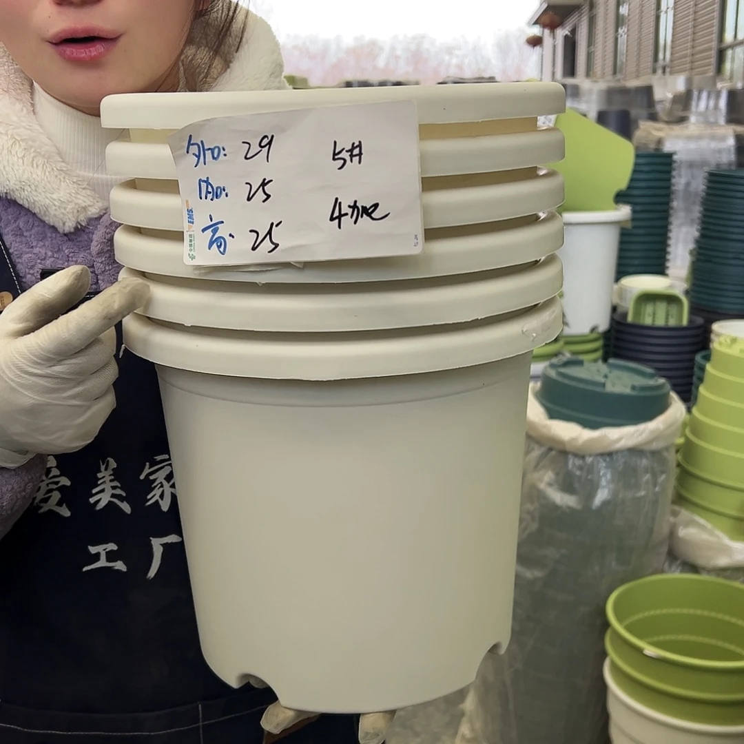 四季盆5#白色6个无托
