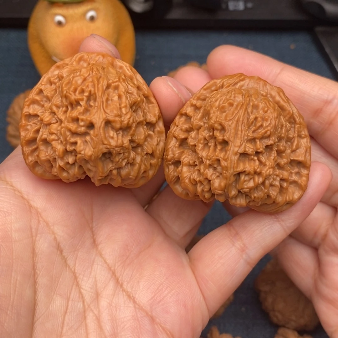 文玩核桃把件43毕业红皮涿鹿三角疆全品