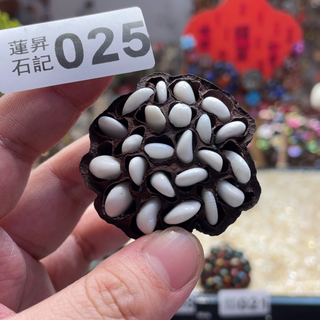 核桃木/黑胡桃（胡桃木）025