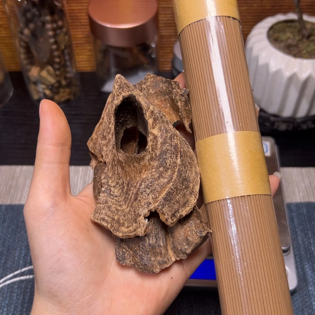 越南芽庄淳化老虫漏10克