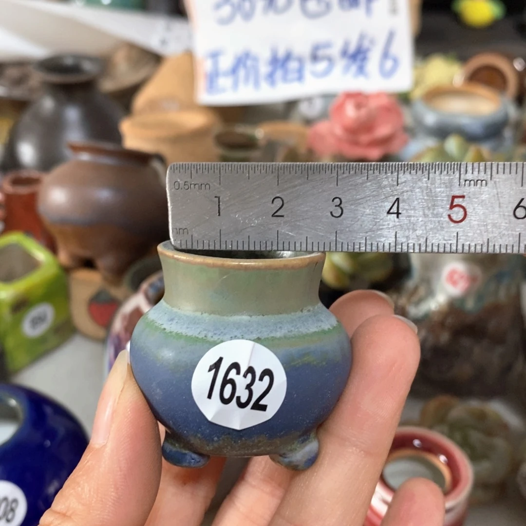 拍5送一个小礼物