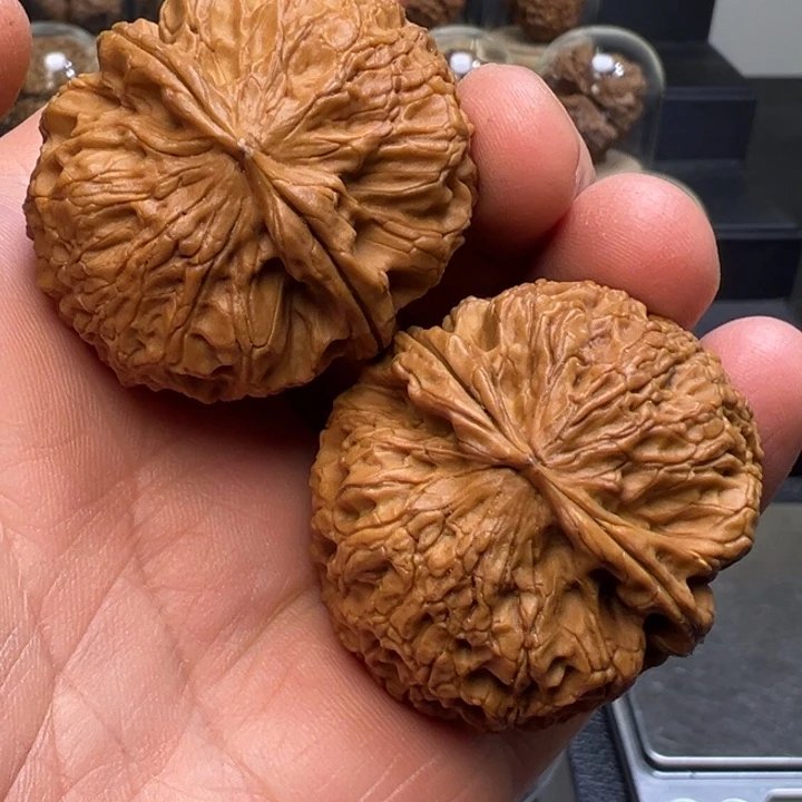 文玩核桃把件白花绣球41mm