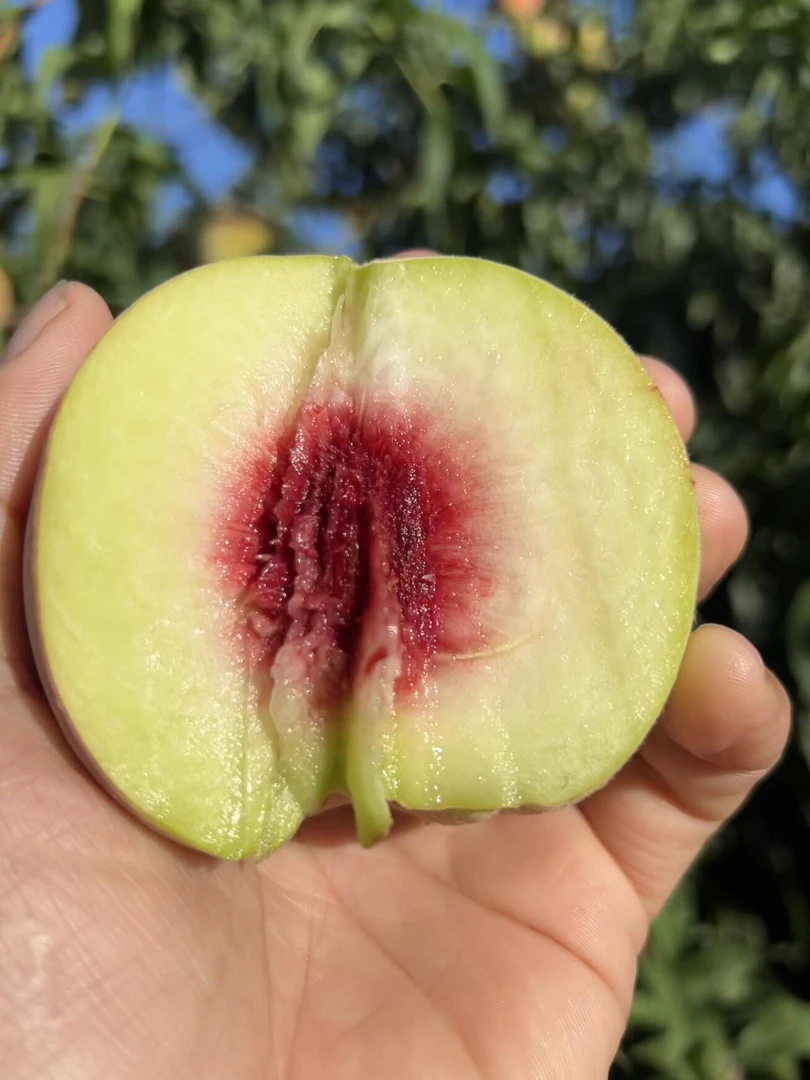 正宗大理祥云【冬雪蜜桃】新鲜当季 现摘脆 甜离核毛硬桃 中通包邮