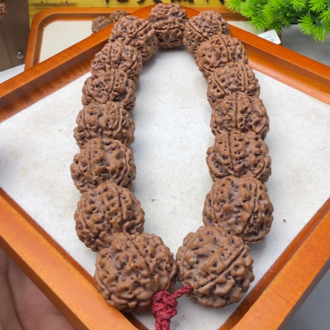 金刚菩提吊坠21➕粗筋蜂窝双龙蜂王铁籽姜黄皮