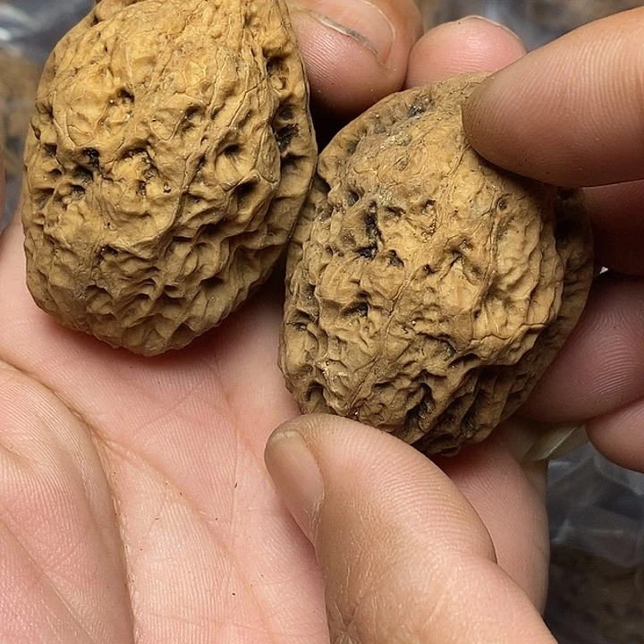 把件文玩核桃云南铁核桃24号39mm