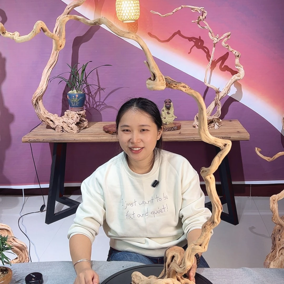 用***胜木天然杜鹃根艺摆件