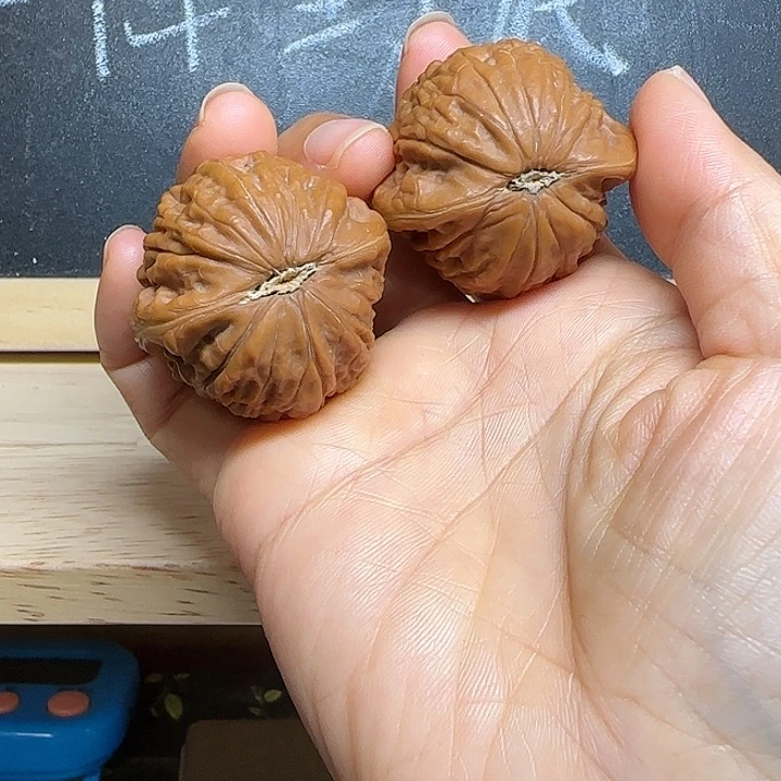大叶紫檀（黑酸枝木类）