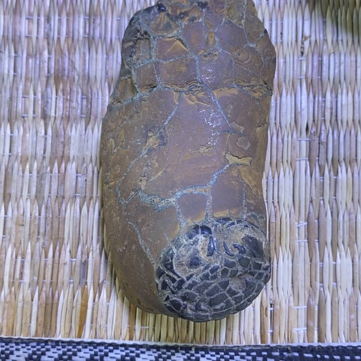 传***视核桃手串/手链龟纹石原石