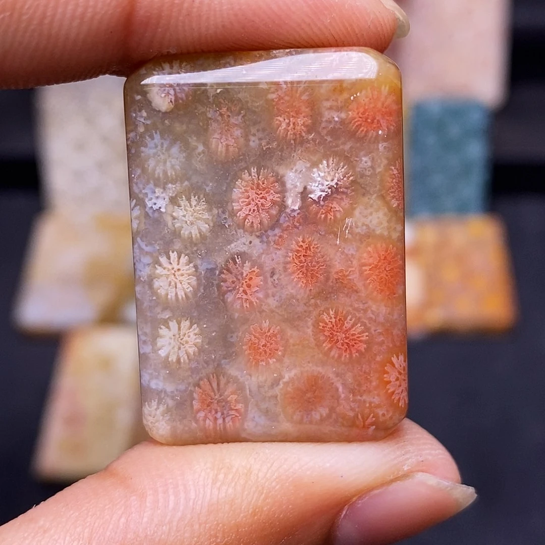 新***户硅化玉珊瑚玉合金