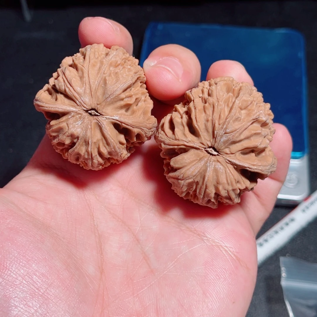 梓***爸41全品山地红皮小众