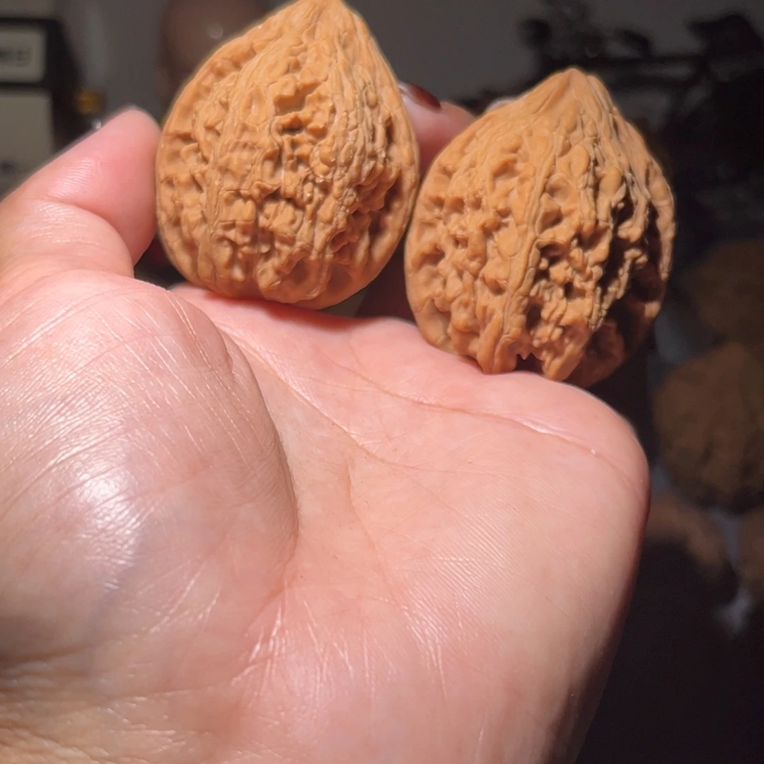 木质类大沽石40全品