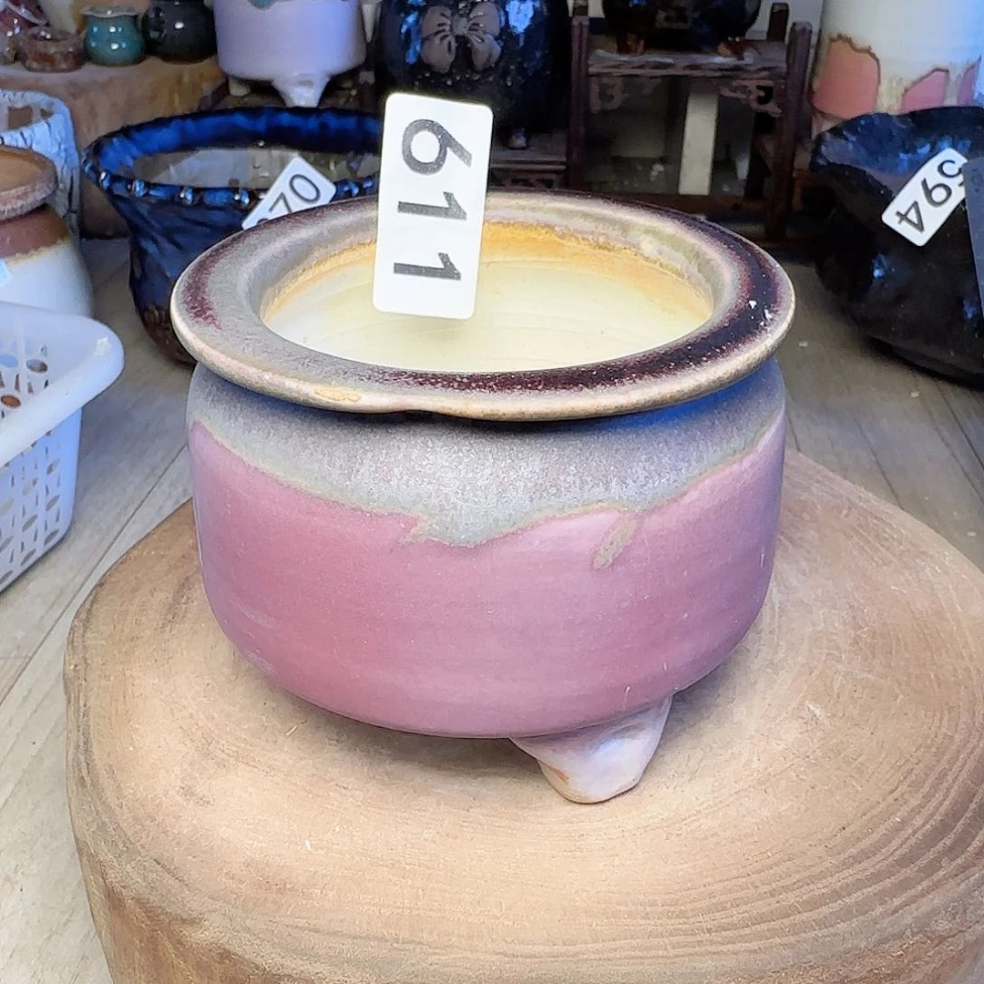 满38送两个拇指花盆