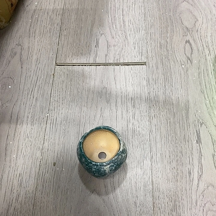 花盆抢购清货马上开始
