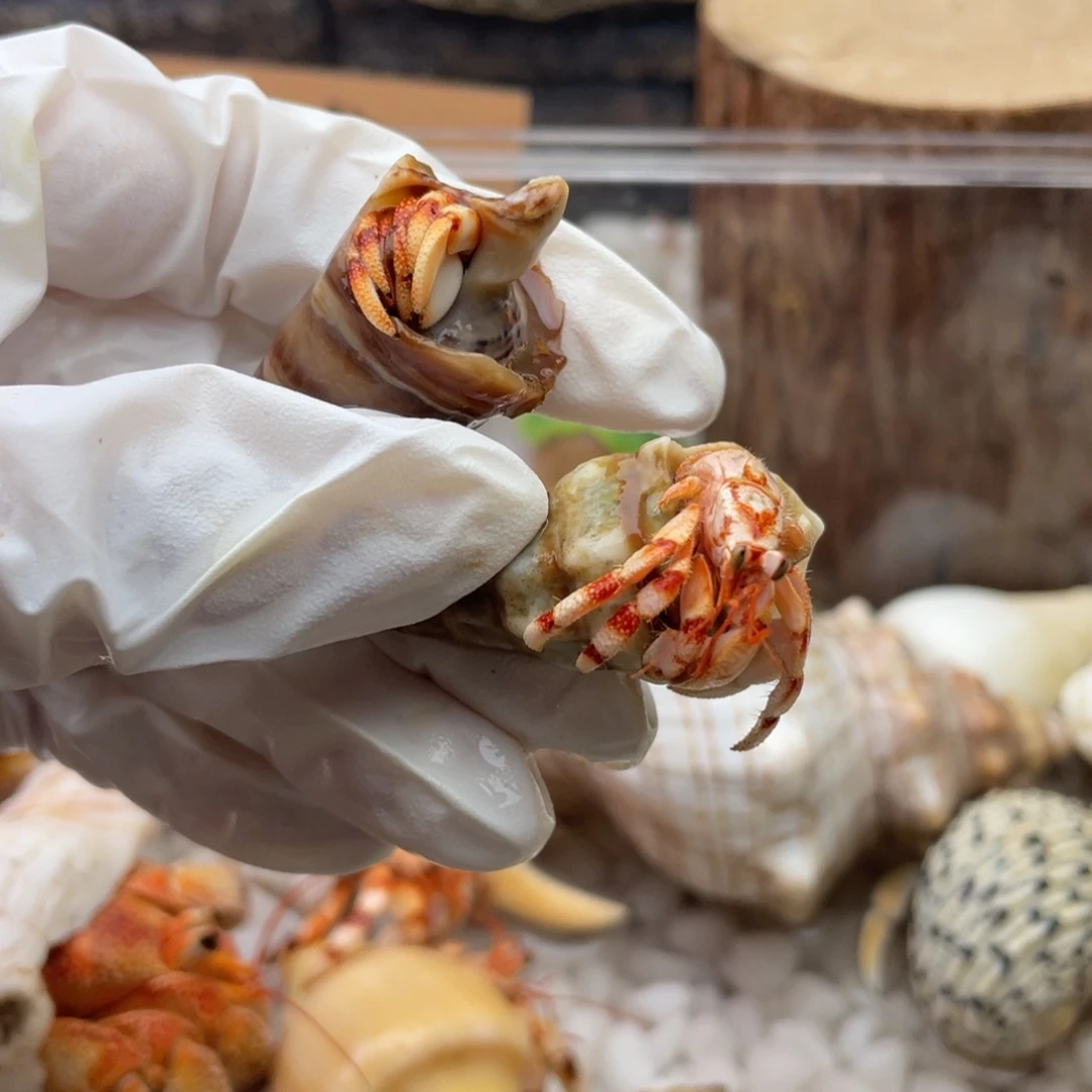 漠***风辰风拍好看好看好看