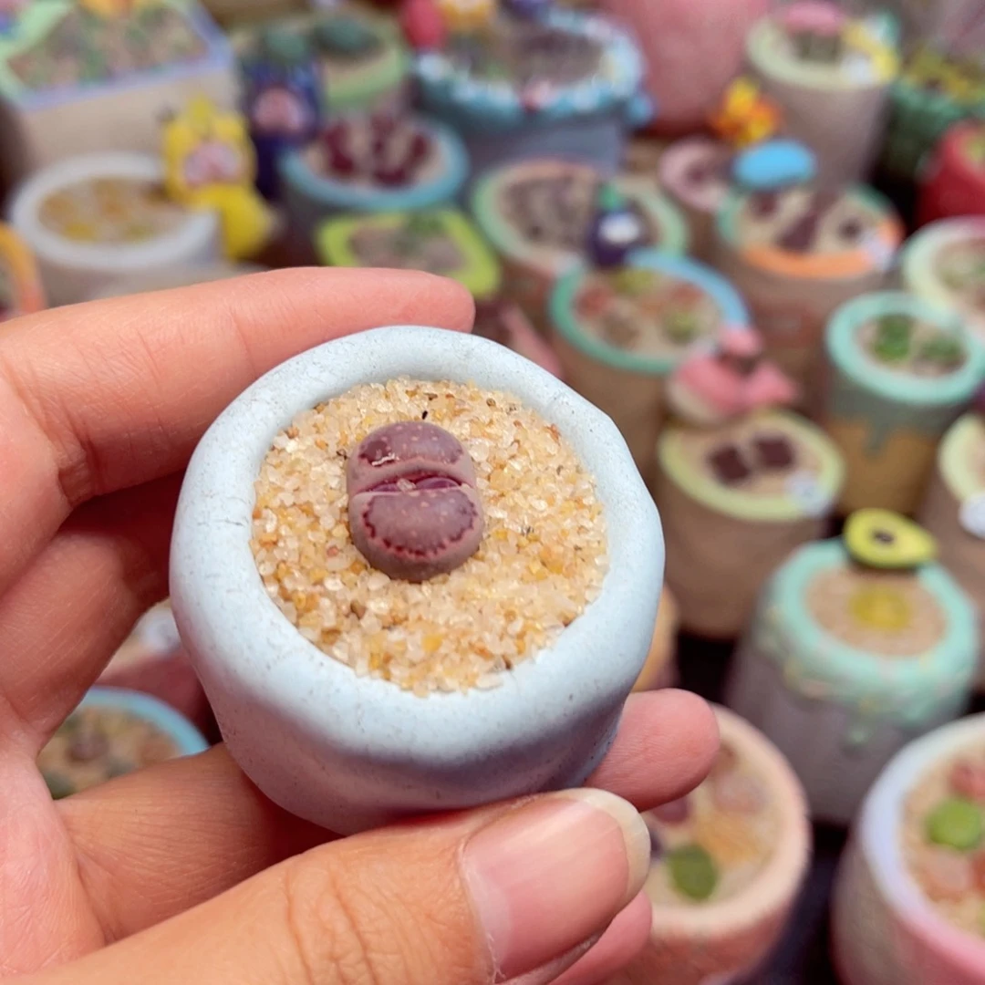 448。8888888888888888