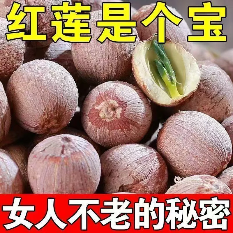莲子带芯红莲子新鲜红皮莲子有芯无硫干货湖南莲子煮粥结婚商用