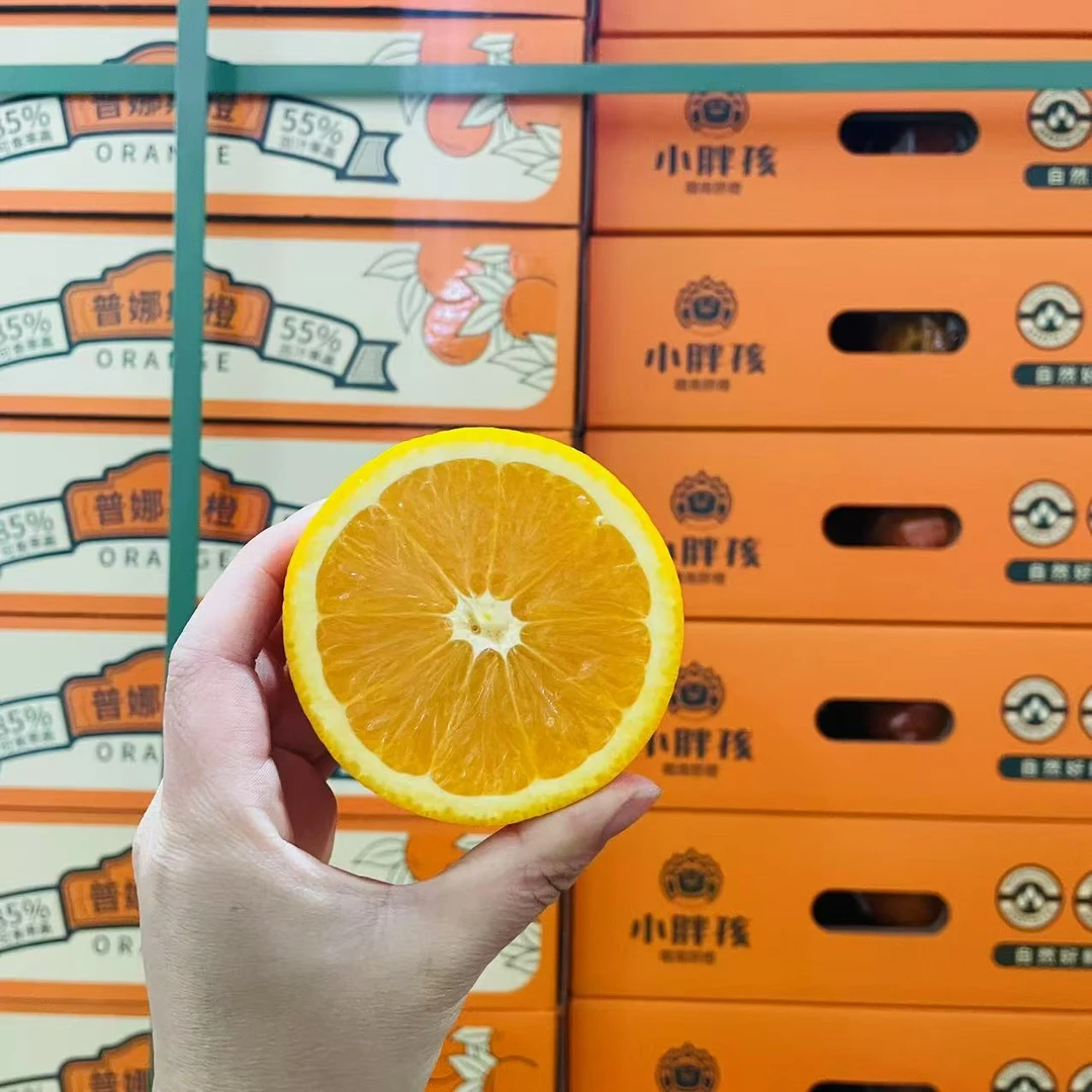 4 【礼盒装】小胖孩  普娜斯橙  净重7.5斤【只发河南省】