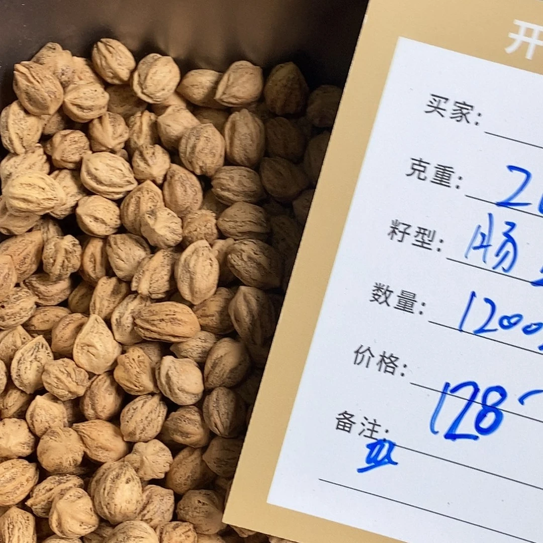 财***子吊坠柏香籽/百香籽