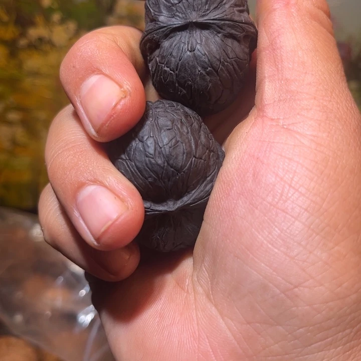 文玩核桃吊坠滇西9