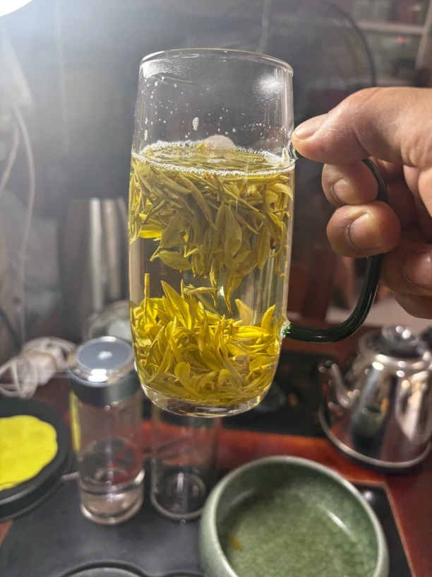 H66款明前高山黄金芽250g500g