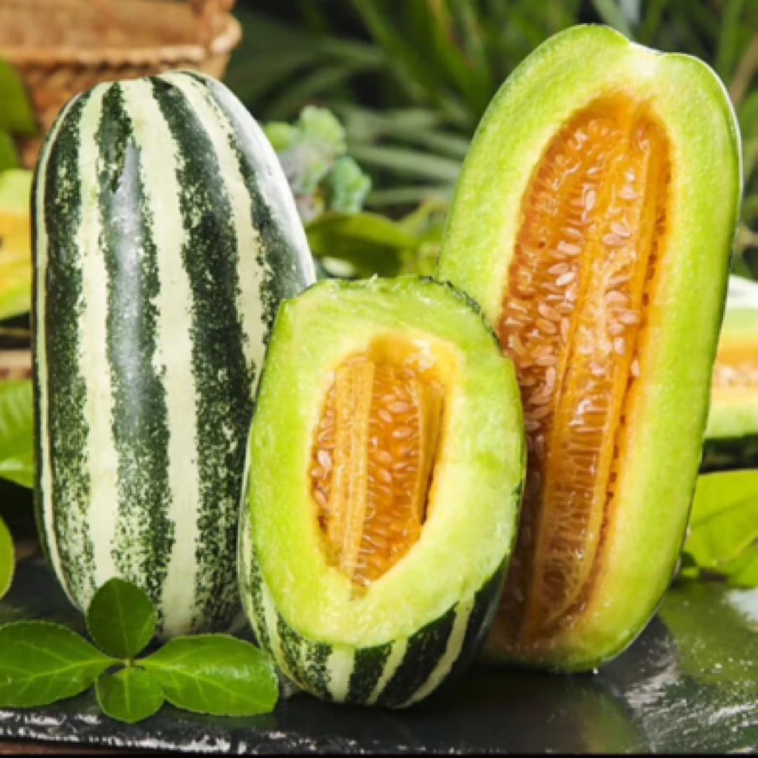 【顺丰】山东头茬博洋9号甜瓜脆甜多汁产地直发