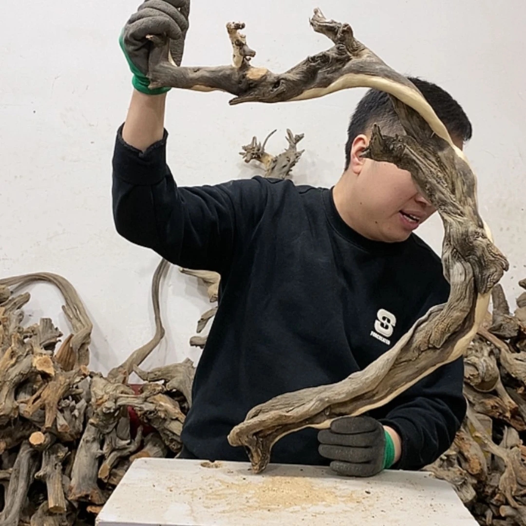 【闪购商品】柏木行*我们都是好孩子