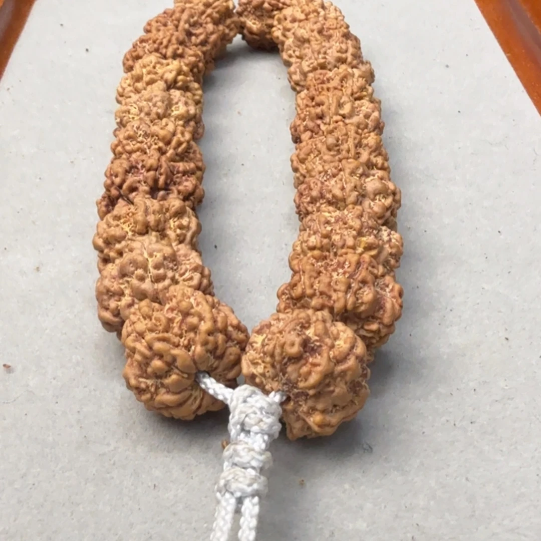 平****金刚菩提吊坠15➕6瓣天尊野生籽私人收藏