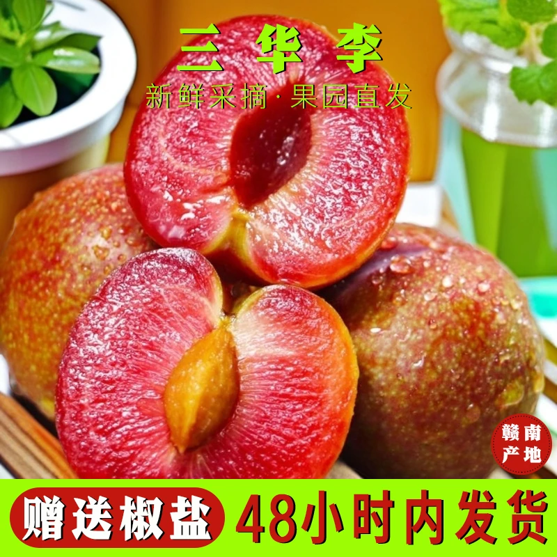 新鲜三华李5斤应季李子现摘红心青脆酸脆孕妇3斤非奈李冰糖李脱骨