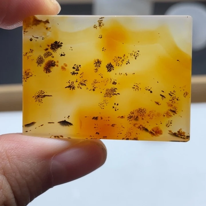 林***林玛瑙/玉髓未镶嵌颈饰