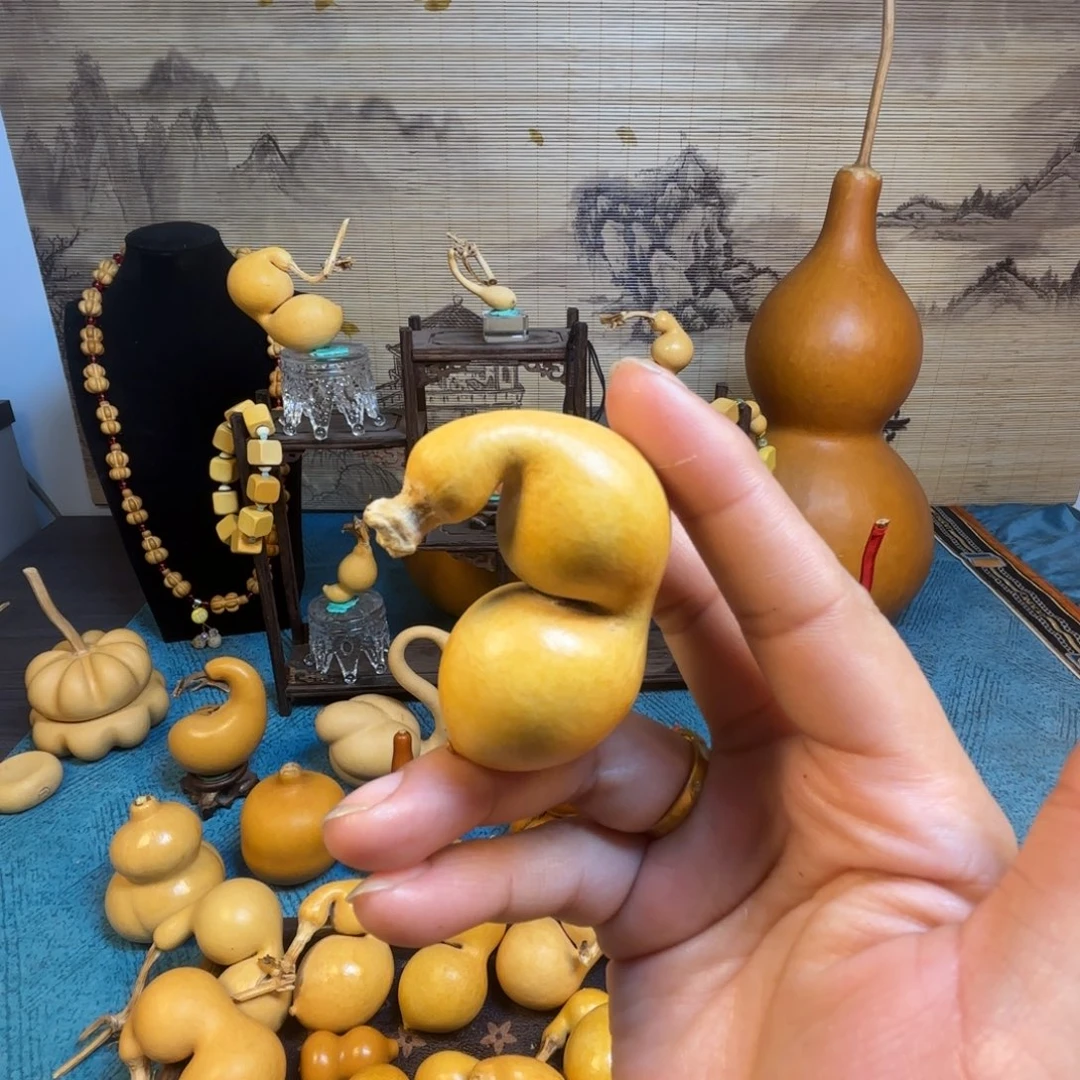 马***哥精品蚂蚁嘎嘎漂亮哦