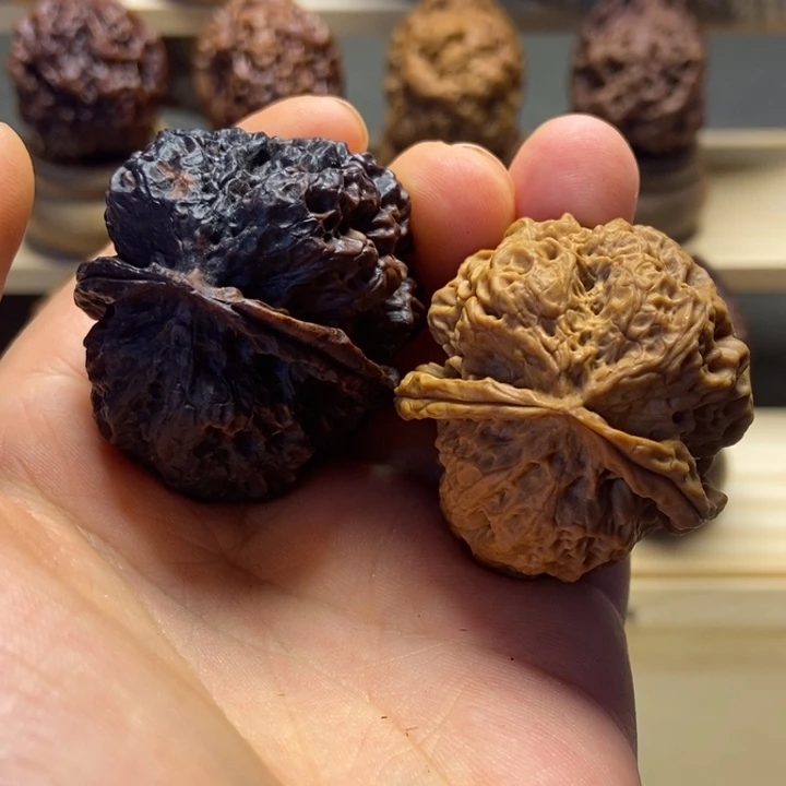 文玩核桃把件蛮荒古蟾40