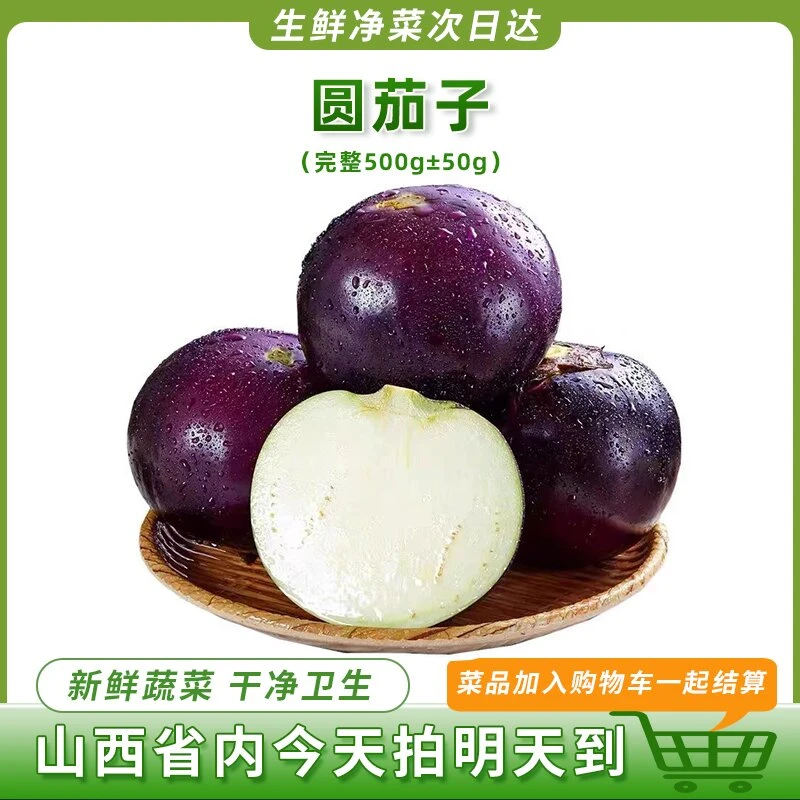 圆茄子蔬菜500g左右新鲜茄子同城配生鲜