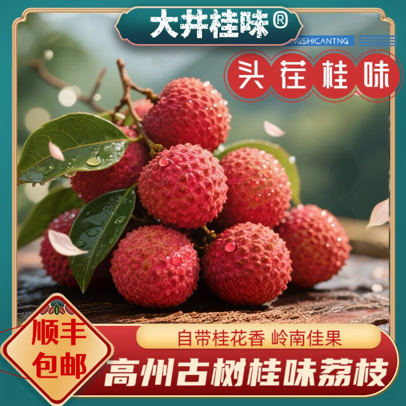 【新鲜荔枝次日到家】正宗广东高州荔枝桂味3/5斤净重新鲜荔枝到家顺丰包邮荔枝同城送