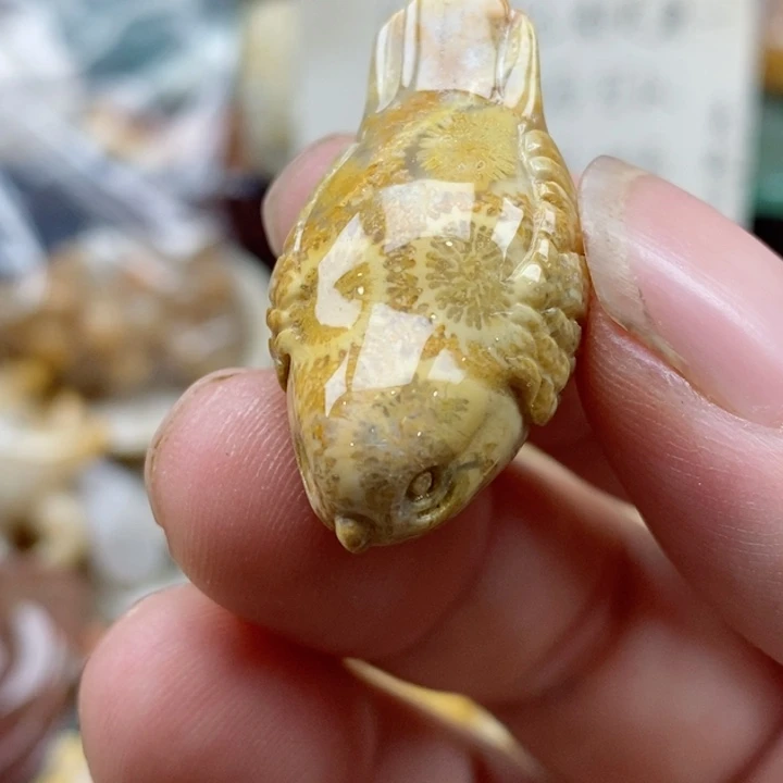 硅化珊瑚（珊瑚玉）未镶嵌颈饰小