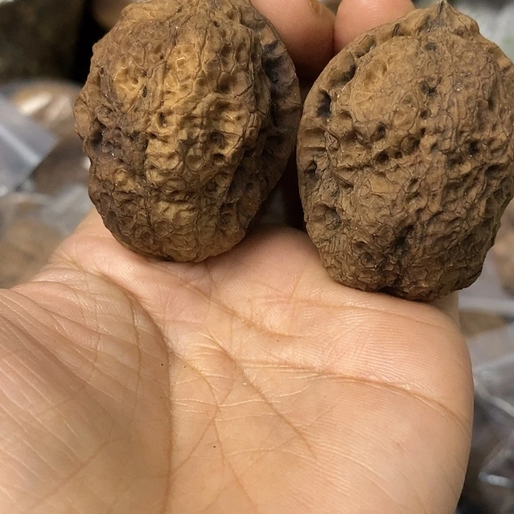 核桃云南铁核桃基地93