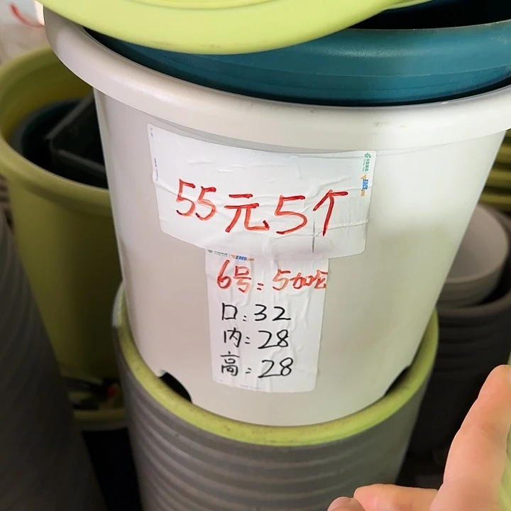 四季6号灰白无托7个口32