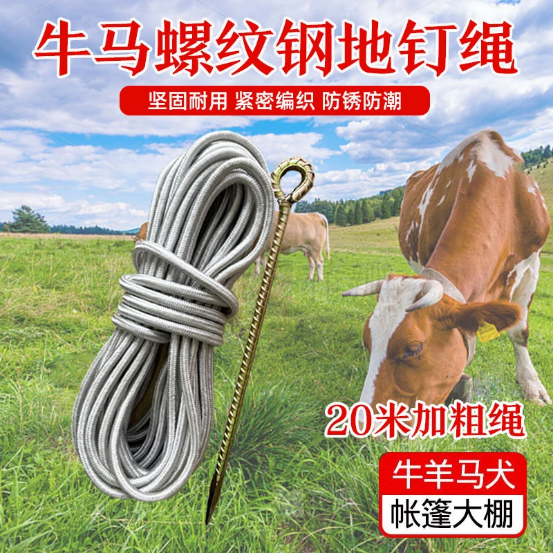 栓牛绳子地钉栓牛羊马橛子大棚钉草坪钉螺纹钢帐篷钉地锚固定装