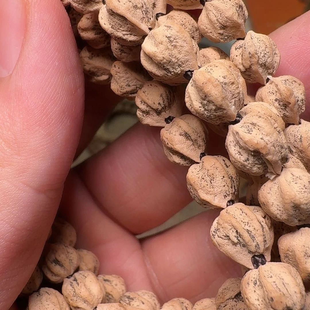 柏香籽/百香籽吊坠O****o