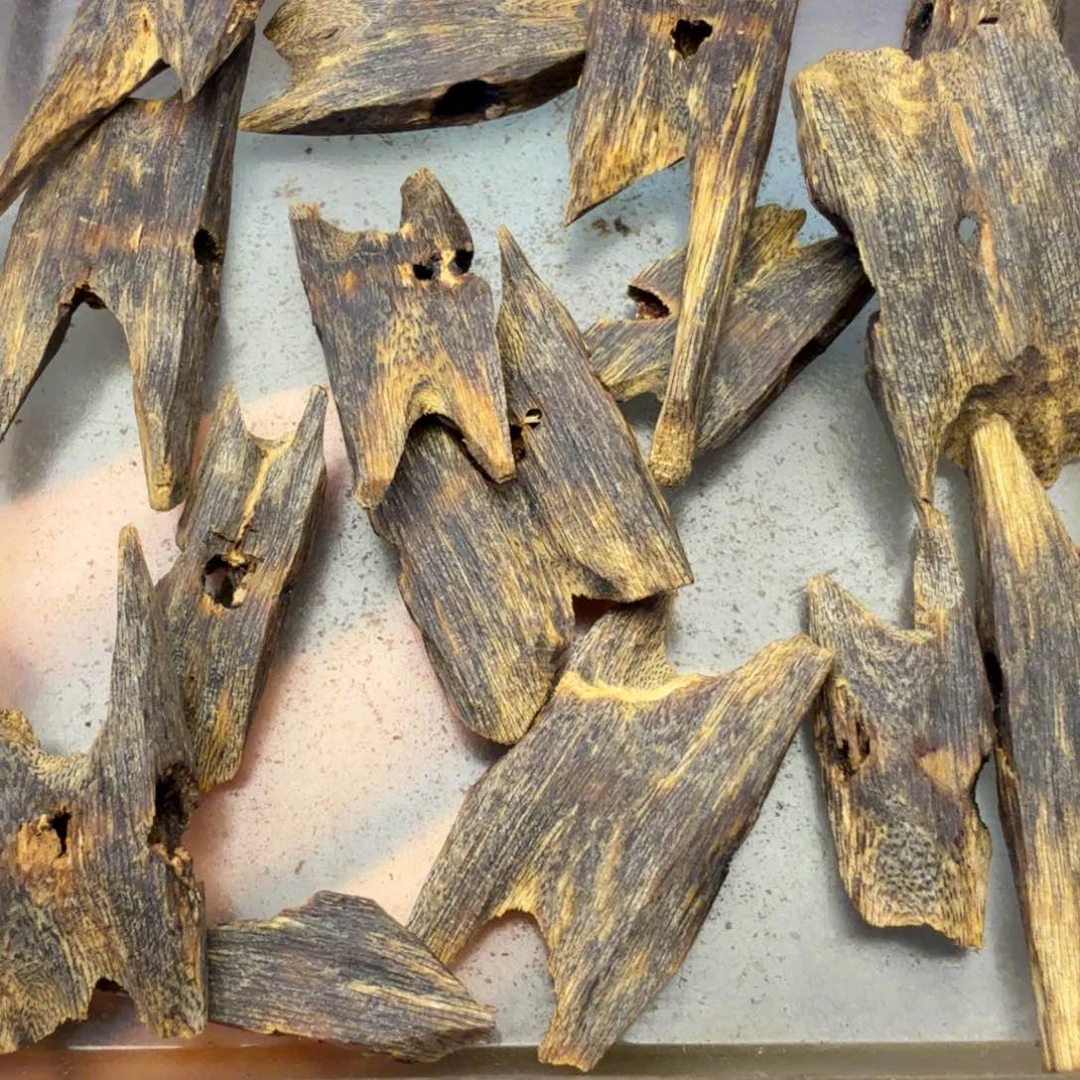 沉香碎屑沉香天然沉乌身31g+