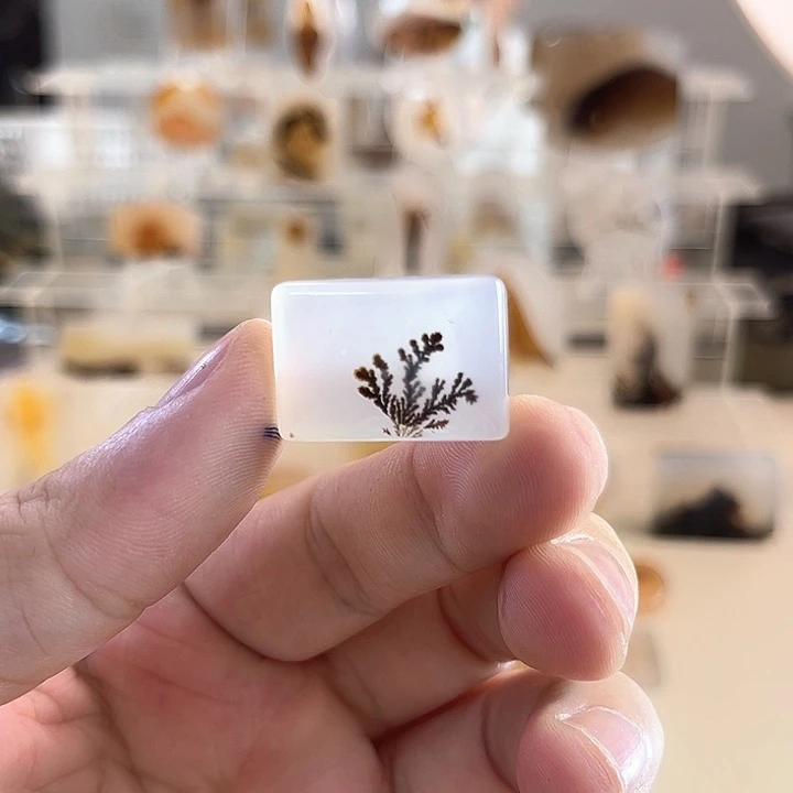 玛瑙/玉髓未镶嵌吊坠(不含链)