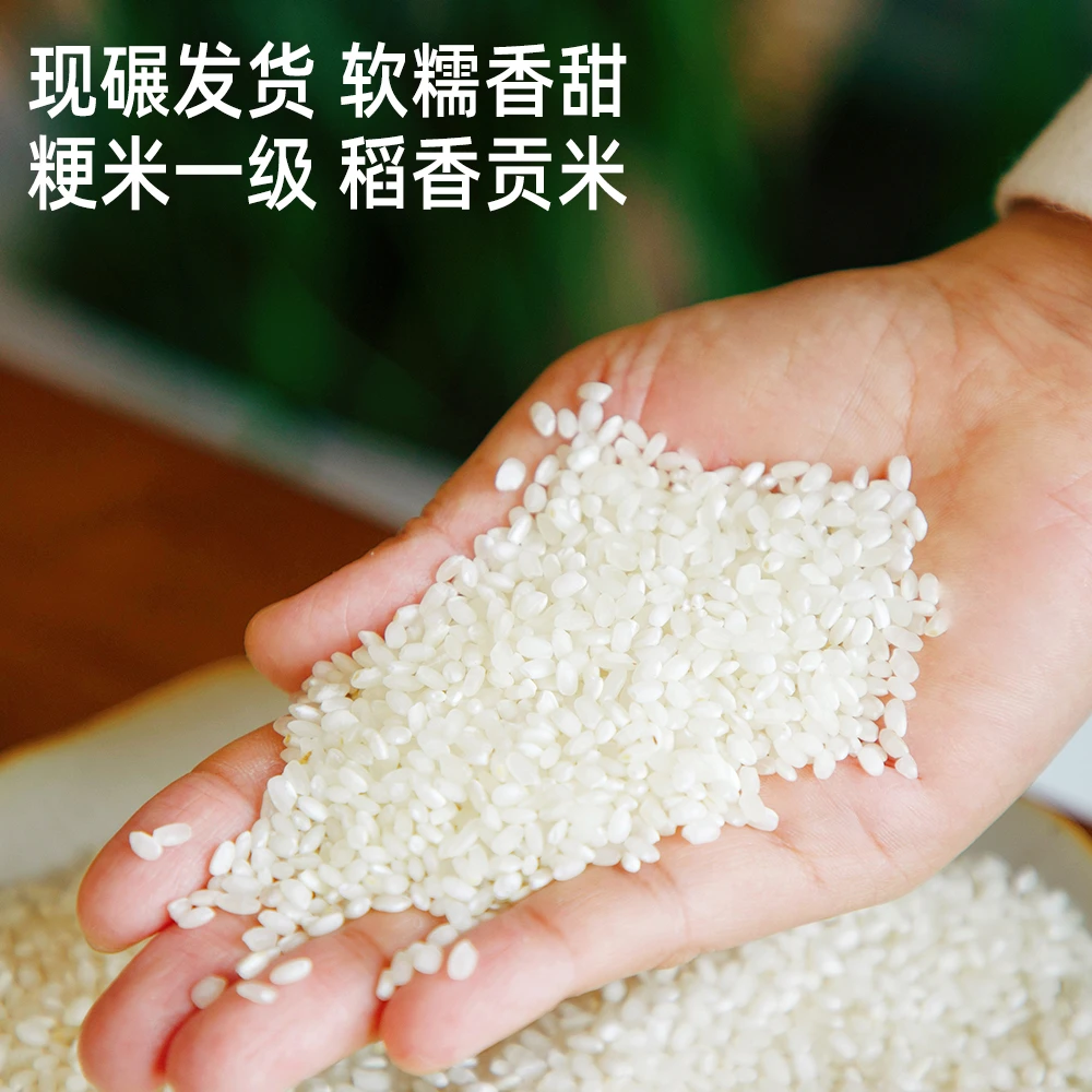 善谷日记定制稻香贡米5kg袋装江苏粳米新米家用一级大米香软