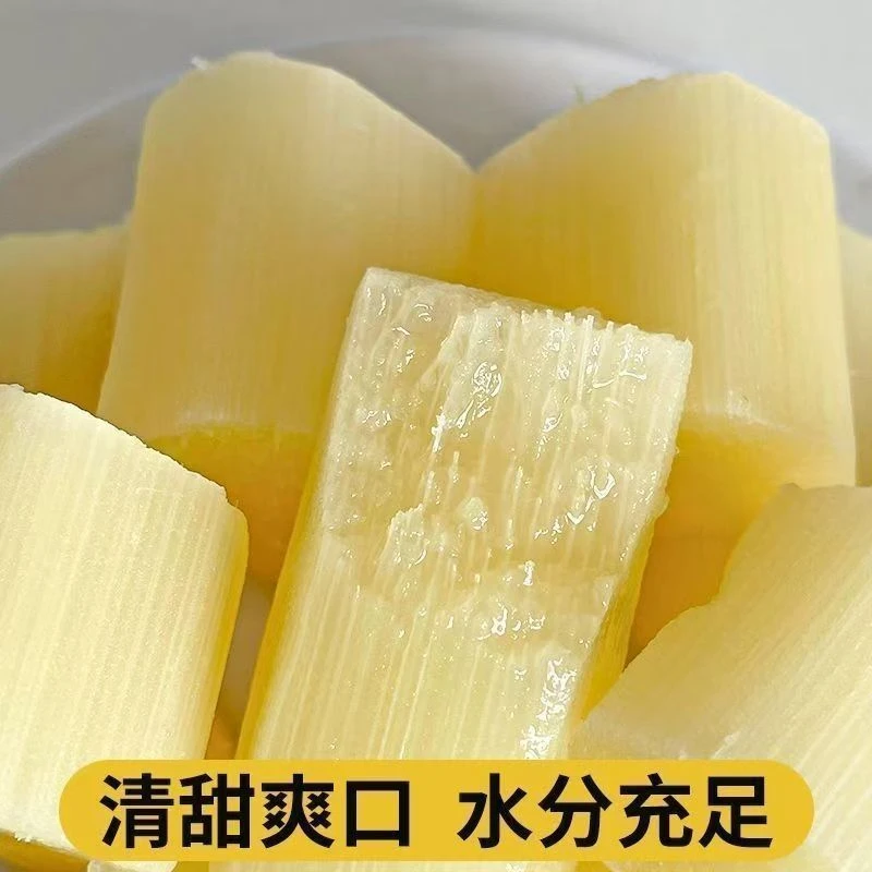 【西双版纳黄金甘蔗】新鲜甘蔗清甜多汁应季水果现砍现发