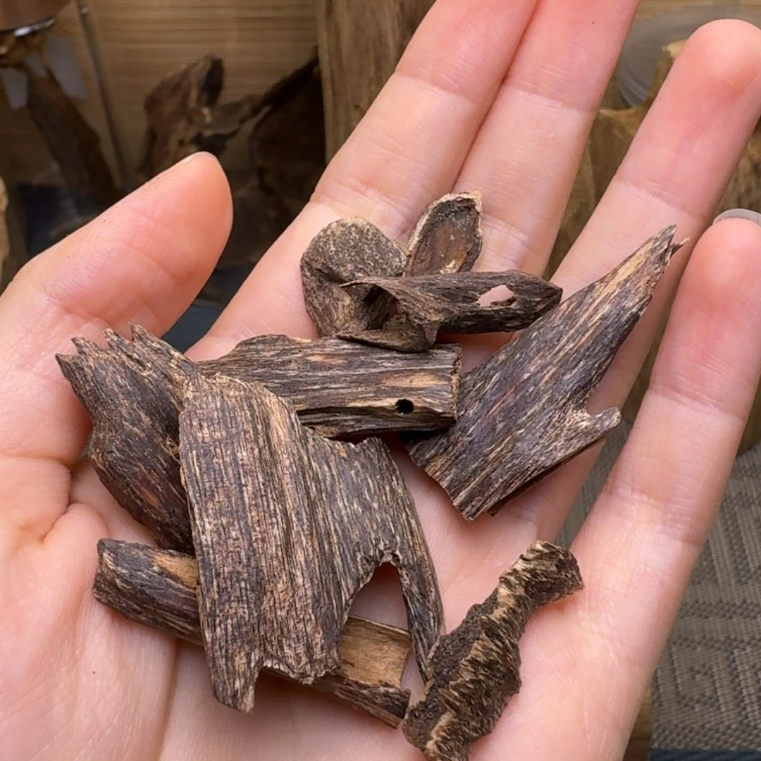 不***凡香榧木海南尖峰岭虫漏5克